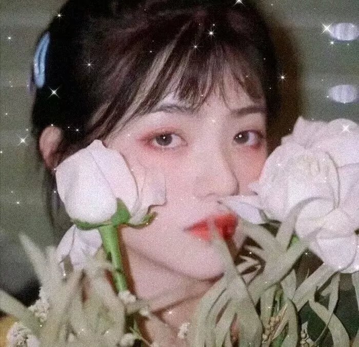 荒野上的光